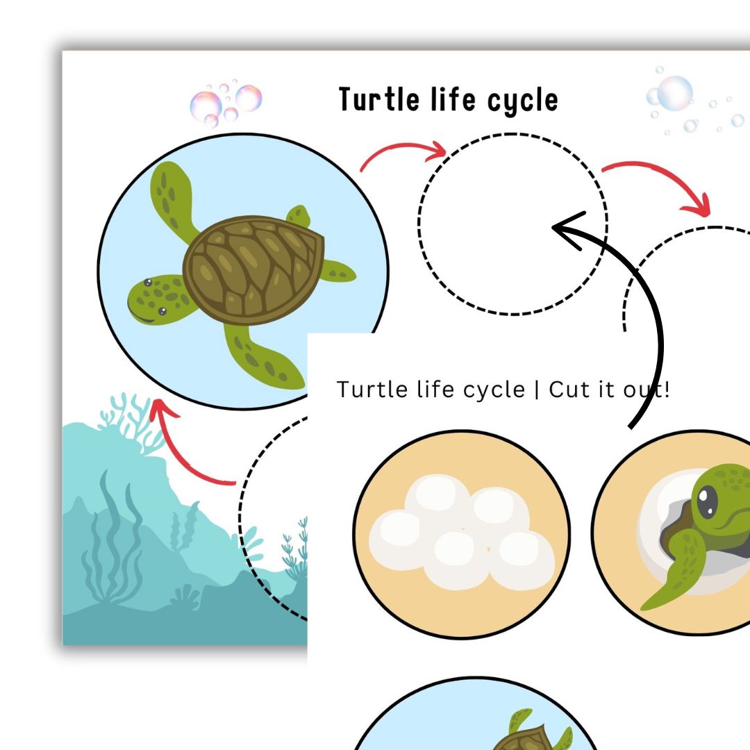 Ocean Animals Busy Book - Image 2