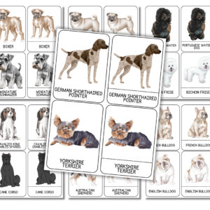 Dog Breed Flashcards