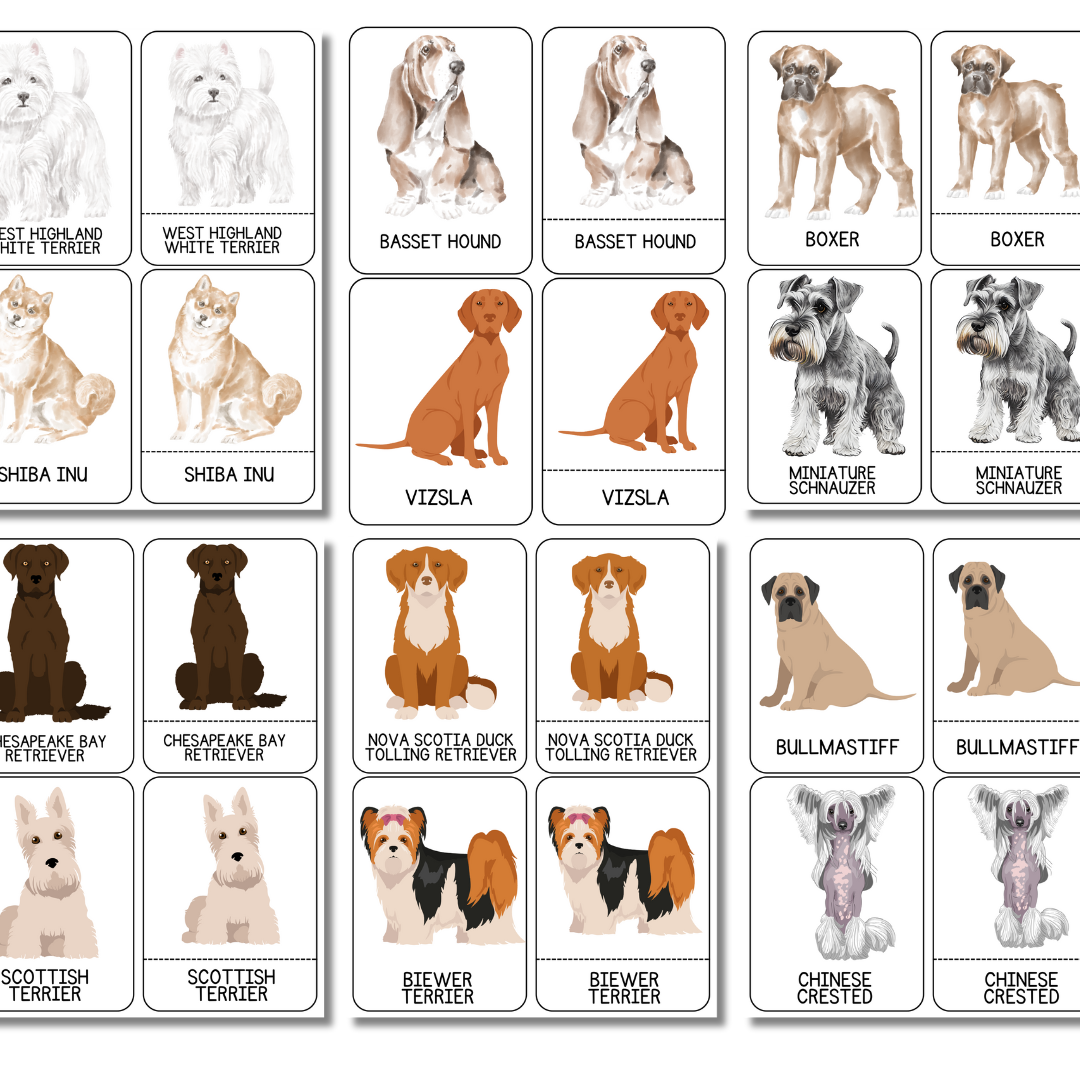 Animal 3-Part Flashcards - Image 3