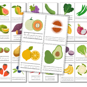 Fruit and veggie tracing cards