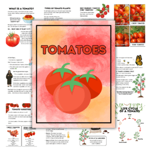 Cover image for tomato unit study