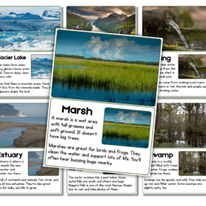 Bodies of Water Flipbook