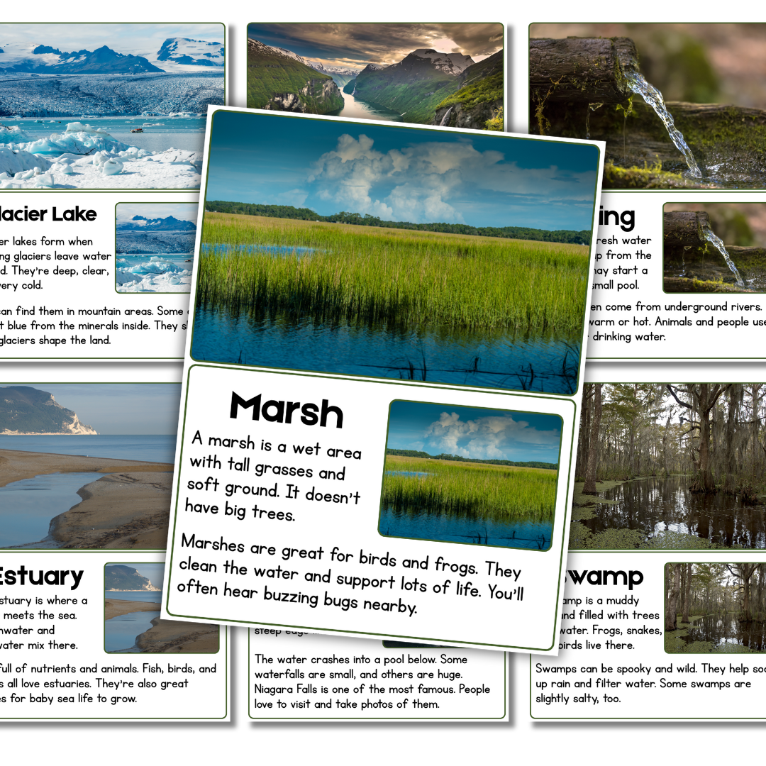 Bodies of Water Flipbook