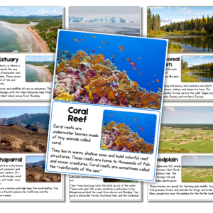 Biomes Flipbook