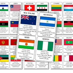 Flag information