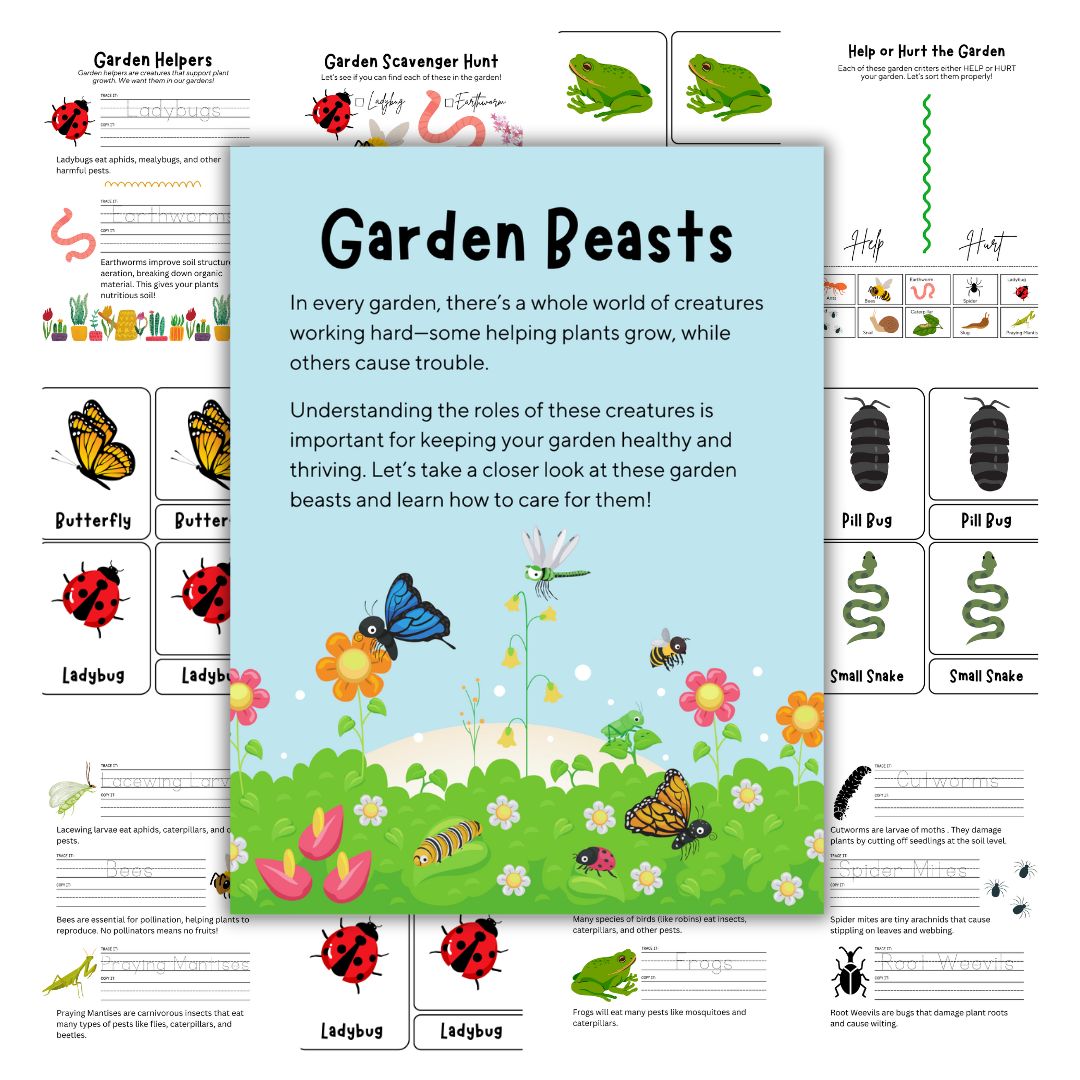 Cover image for garden beasts pre-k