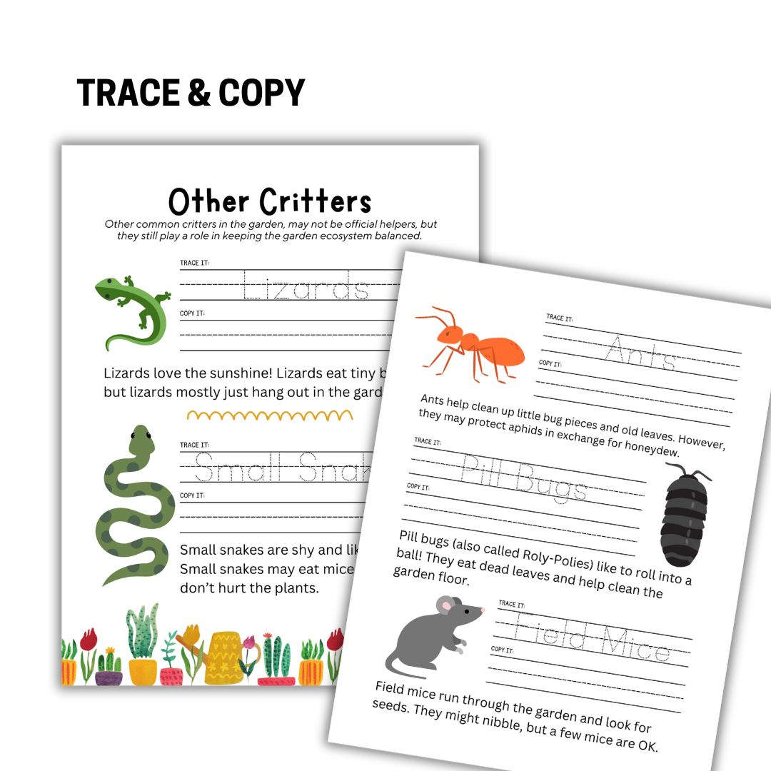 Garden Beasts Preschool Pack - Image 2
