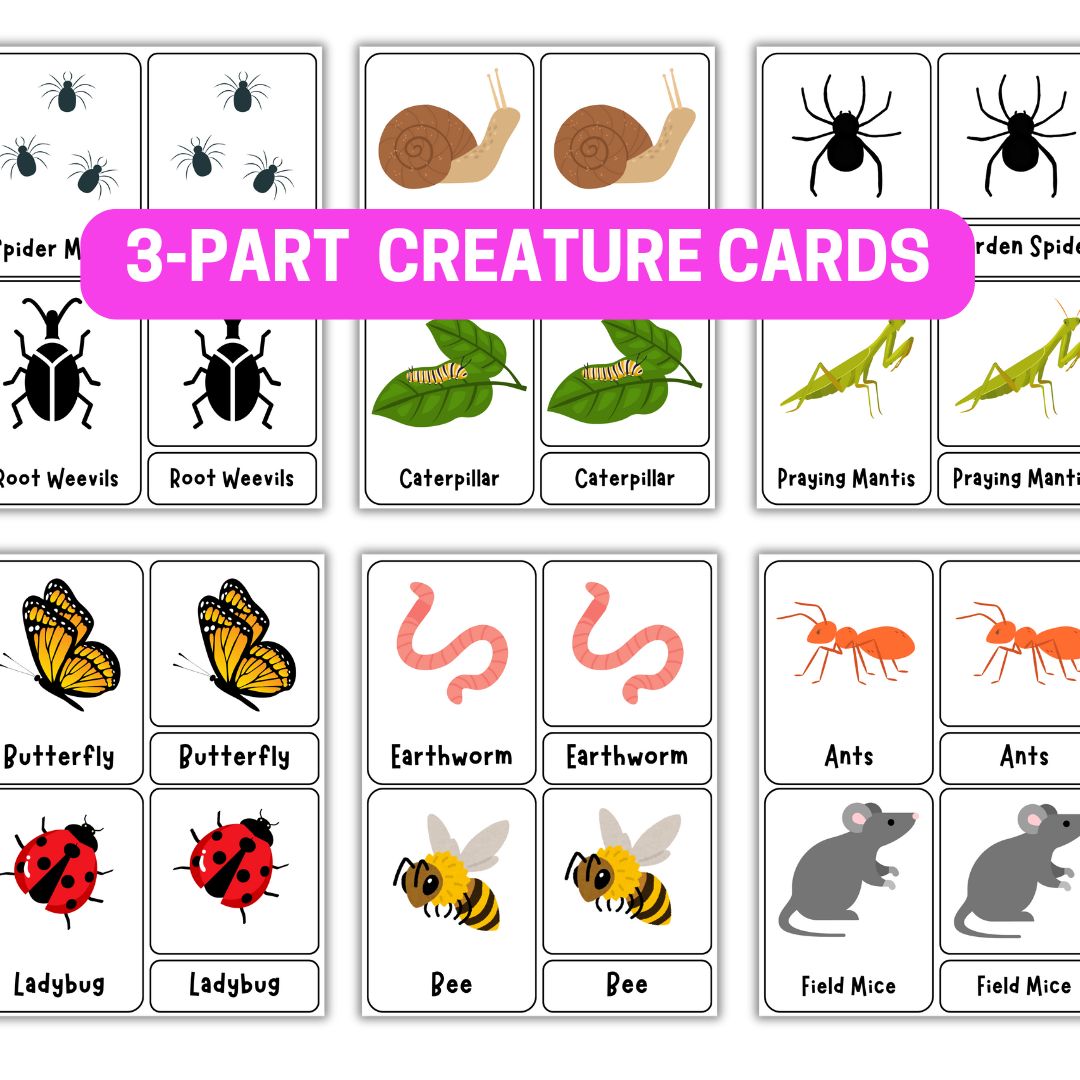Garden Beasts Preschool Pack - Image 3