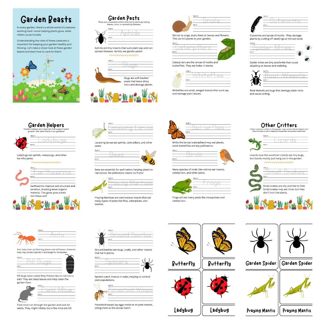 Garden Beasts Preschool Pack - Image 4