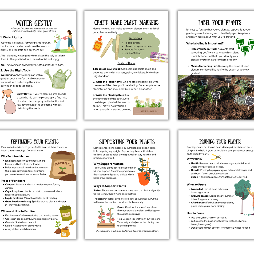 The Garden Project - Image 5
