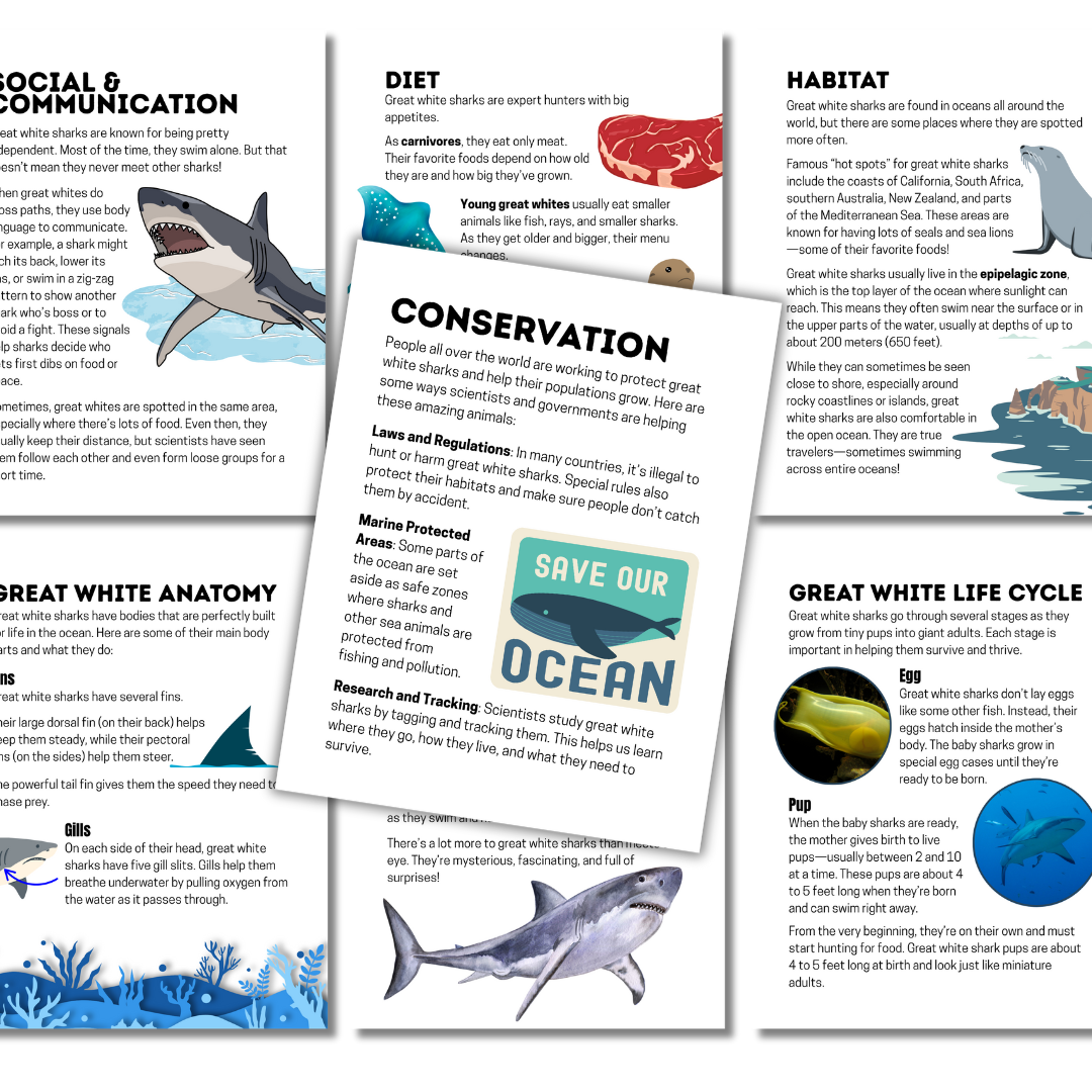 Collage-style preview of subtopics from the Great White Shark Unit Study, featuring illustrated educational pages on shark anatomy, diet, habitat, life cycle, conservation efforts, and social behavior. This digital homeschool resource blends science facts with engaging visuals, ideal for ocean-themed unit studies.