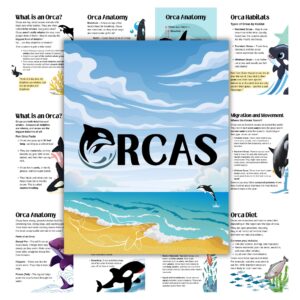 Cover image for Orca Unit Study