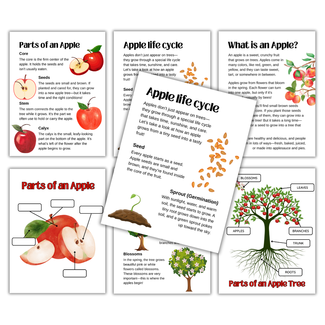 Fall Crops Mini Pack - Image 7