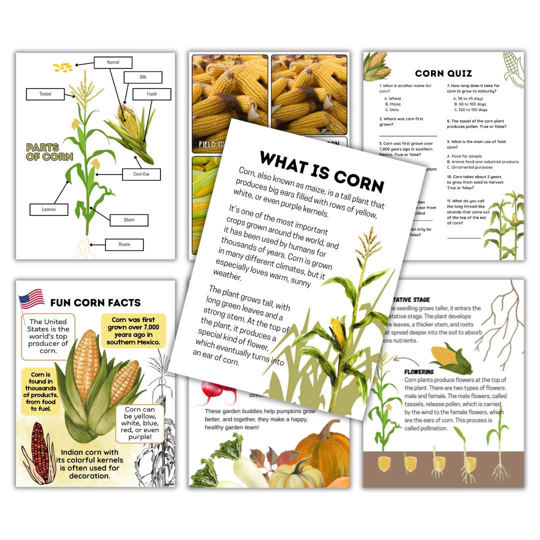 Fall Crops Mini Pack - Image 5