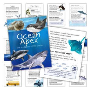 Ocean Apex Unit Study