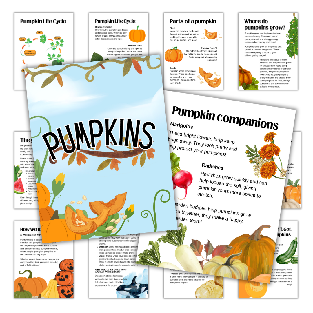 Fall Crops Mini Pack - Image 2