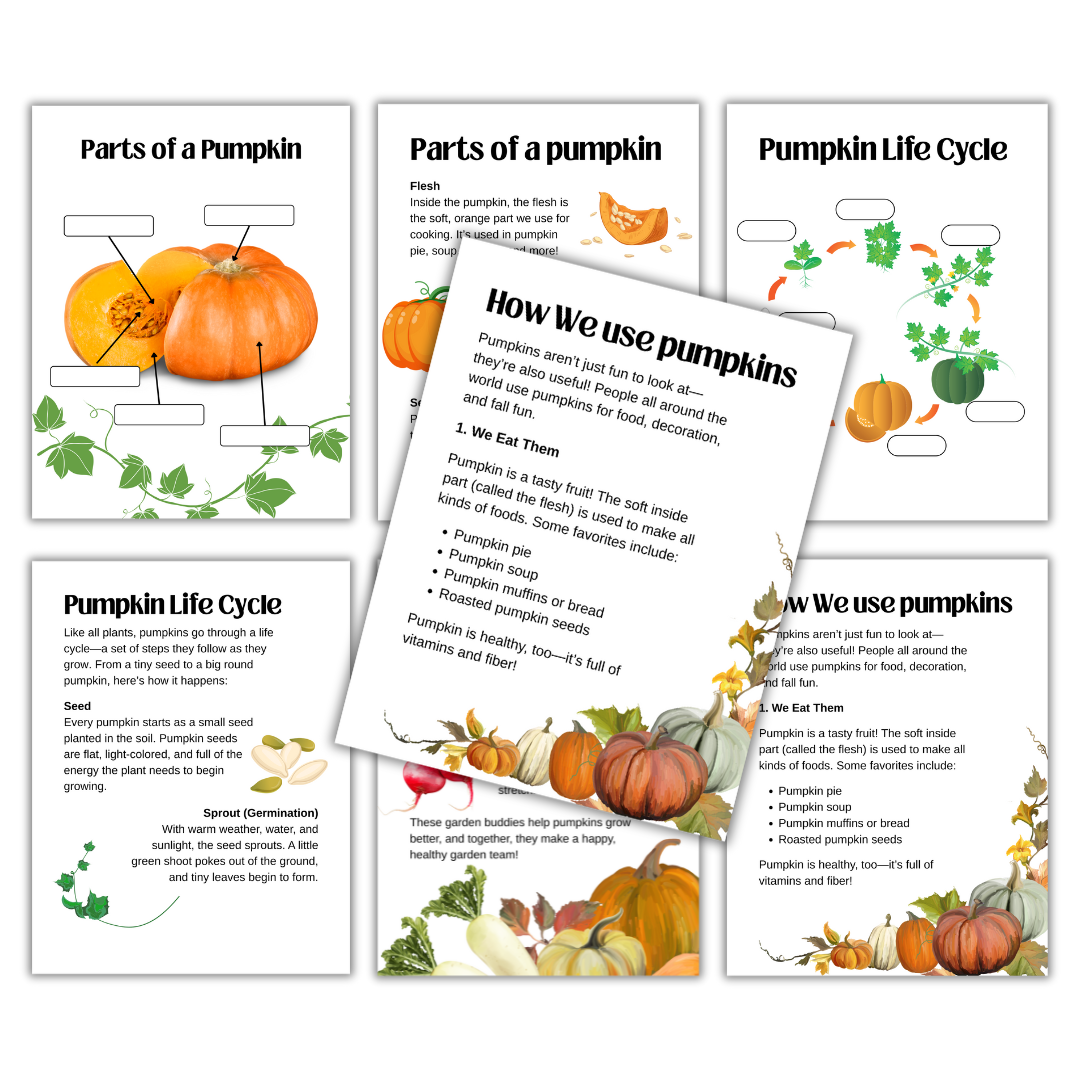 Fall Crops Mini Pack - Image 3