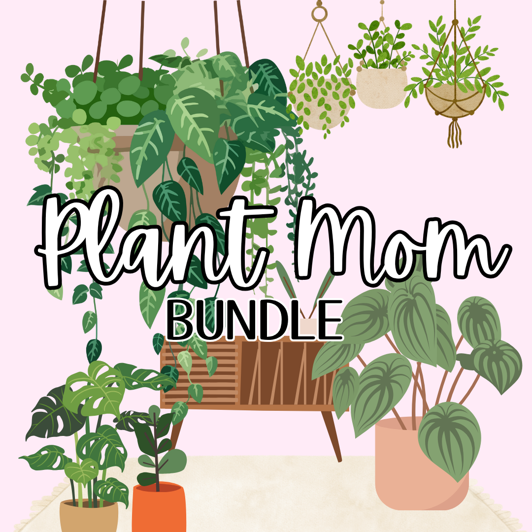 Plant Mom Shop Bundle