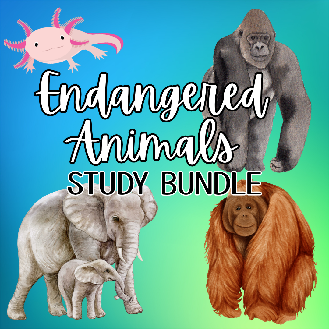 Endangered Animal Study Bundle
