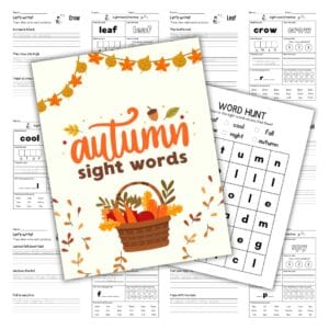 Cover image for autumn sight words.