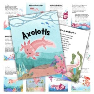Cover image for axolotls unit study