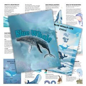 Cover image for blue whale unit study