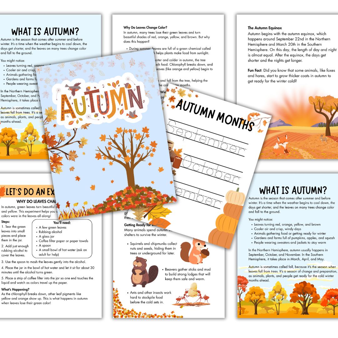 Four Seasons Study Bundle - Image 4