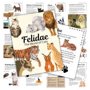 Felidae: The World of Cats Study