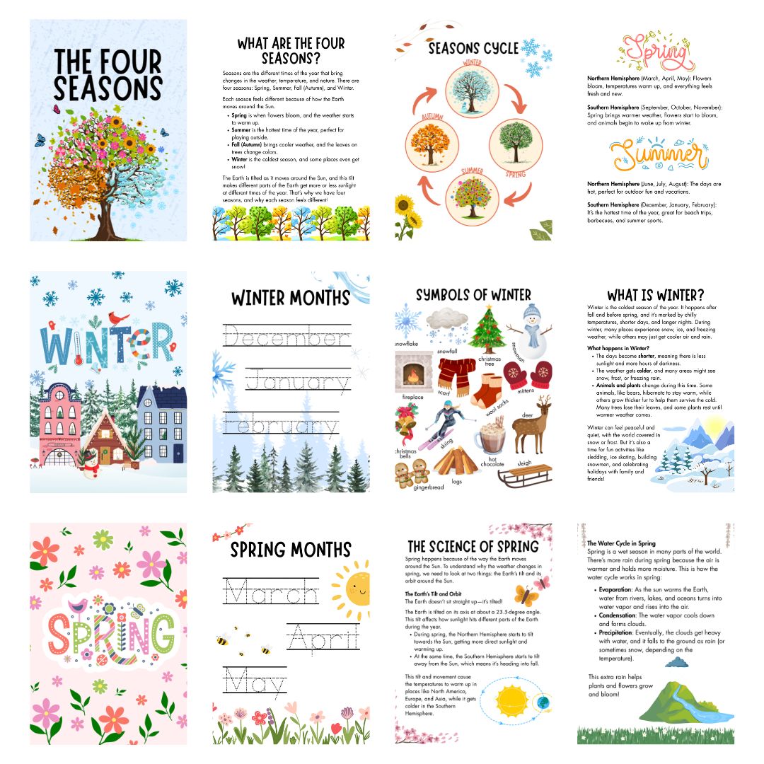 Four Seasons Study Bundle - Image 6