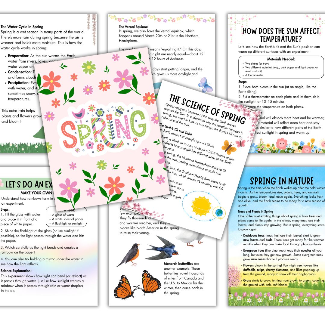 Four Seasons Study Bundle - Image 2