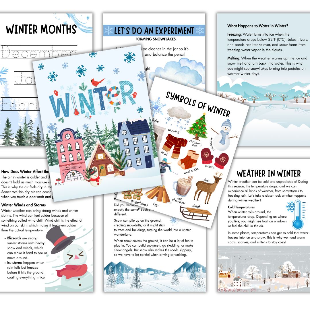 Four Seasons Study Bundle - Image 5