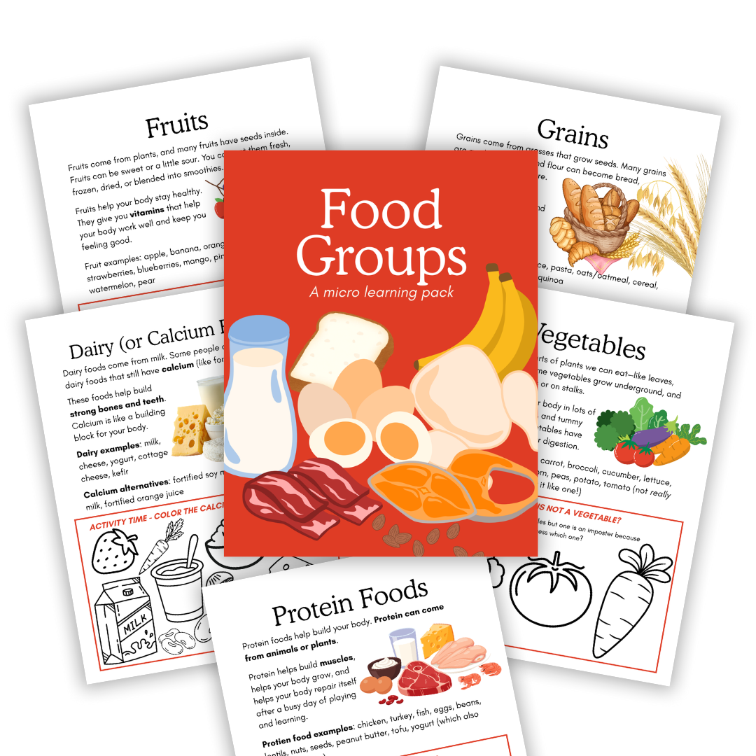 Cover image for food group micro study (red)