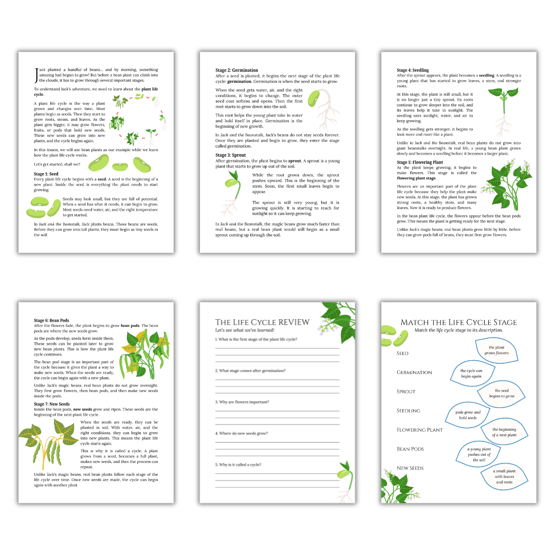 Jack & the Beanstalk: The Plant Life Cycle - Image 3