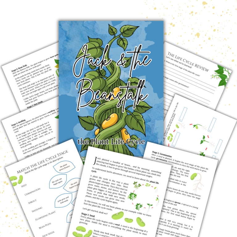 Cover image for the blue Jack & the Beanstalk: The Plant Life Cycle