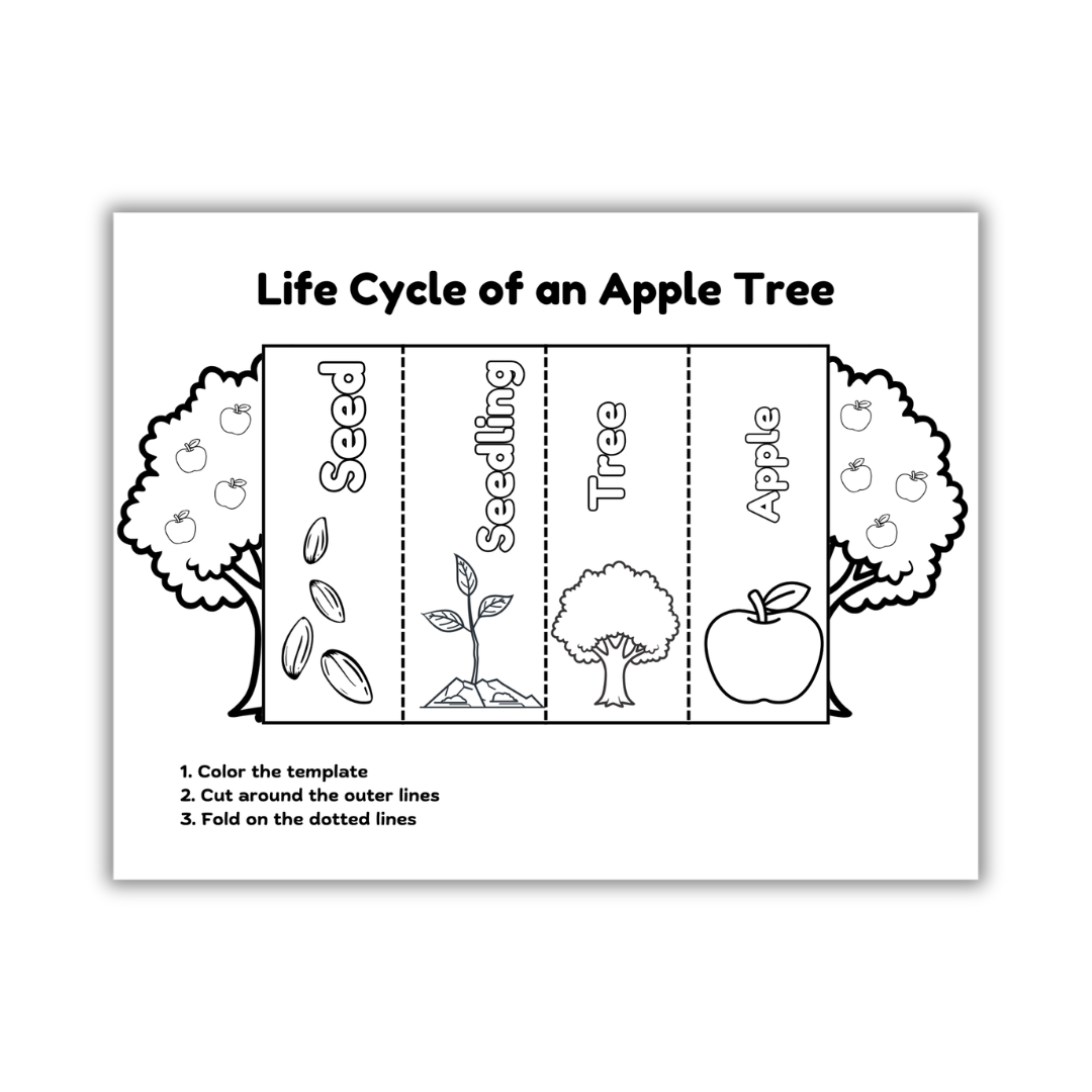 Apple Tree cut and color life cycle promo image