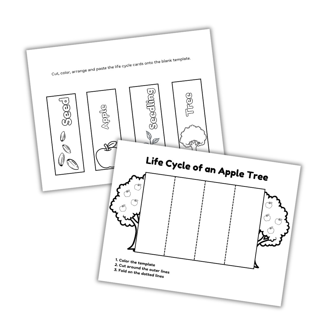 Apple life cycle promo image 2