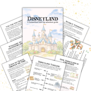 Cover image for Disneyland adventure guide