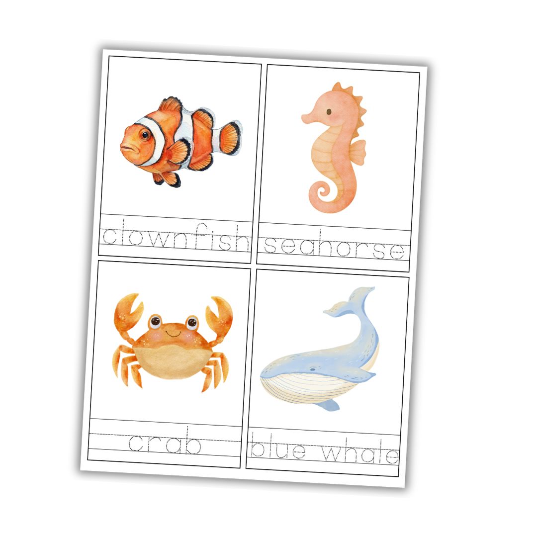 Ocean Animal Tracing Cards - Image 2