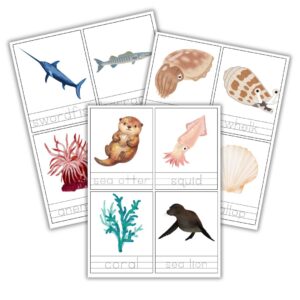 Ocean Animal Tracing Cards