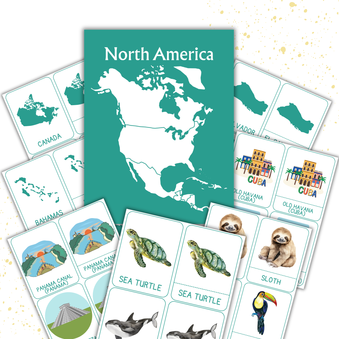 Cover image for North America flashcards
