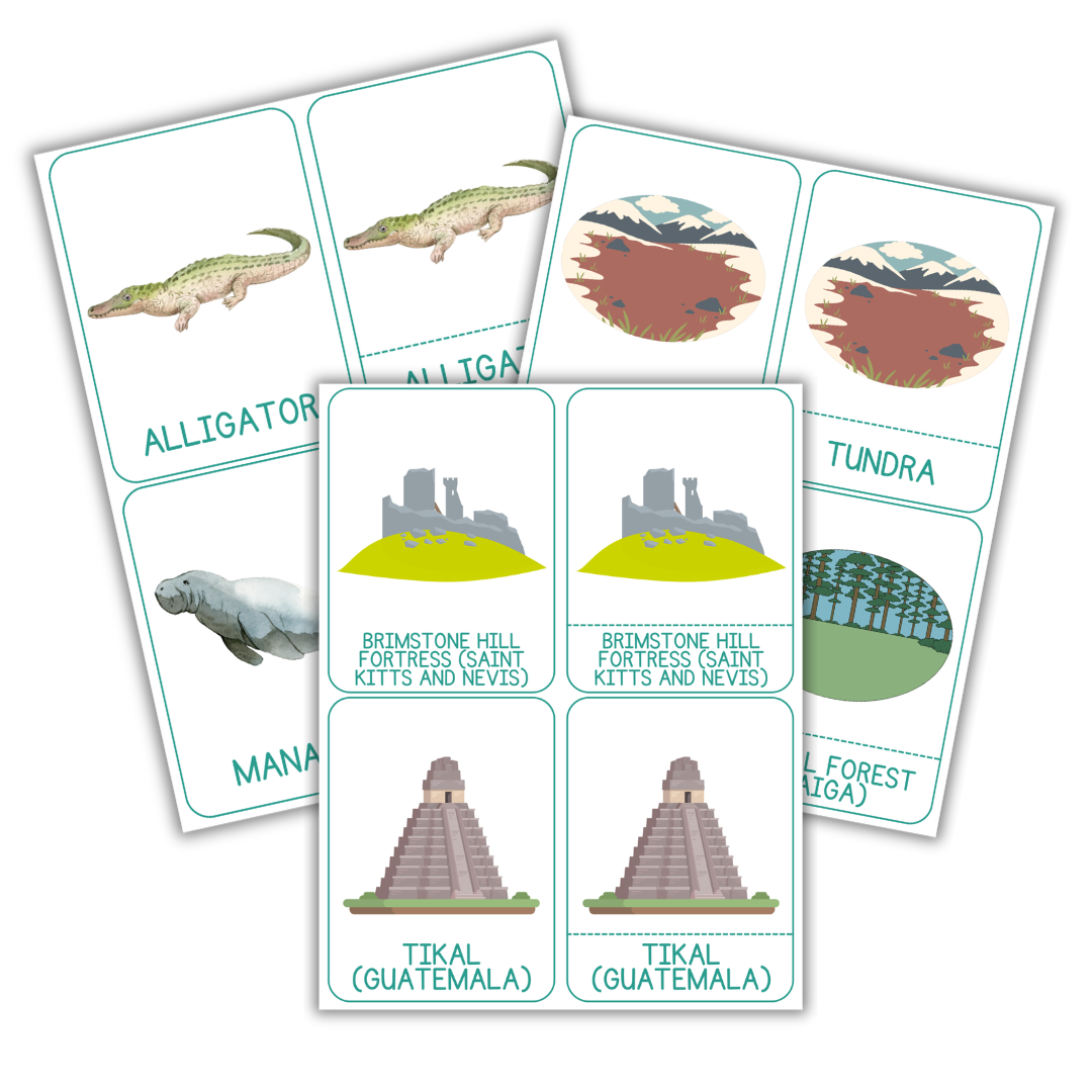 More North America flashcards