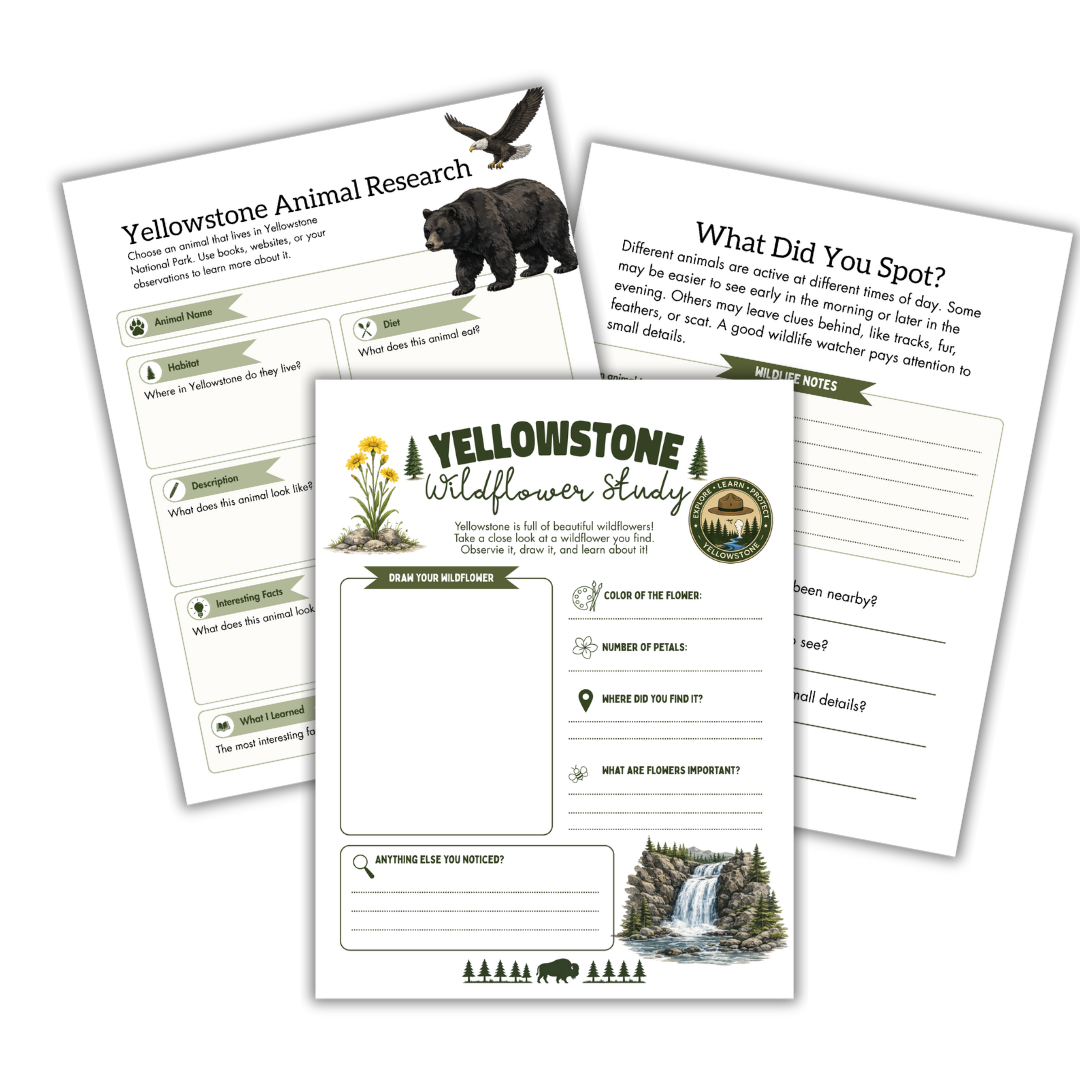 Yellowstone Field Trip Workbook - Image 2