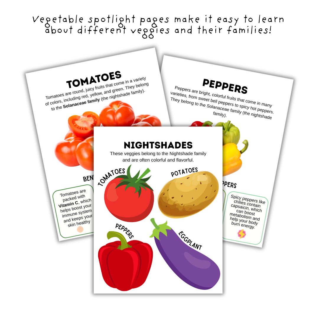Vegetables Unit Study - Image 4