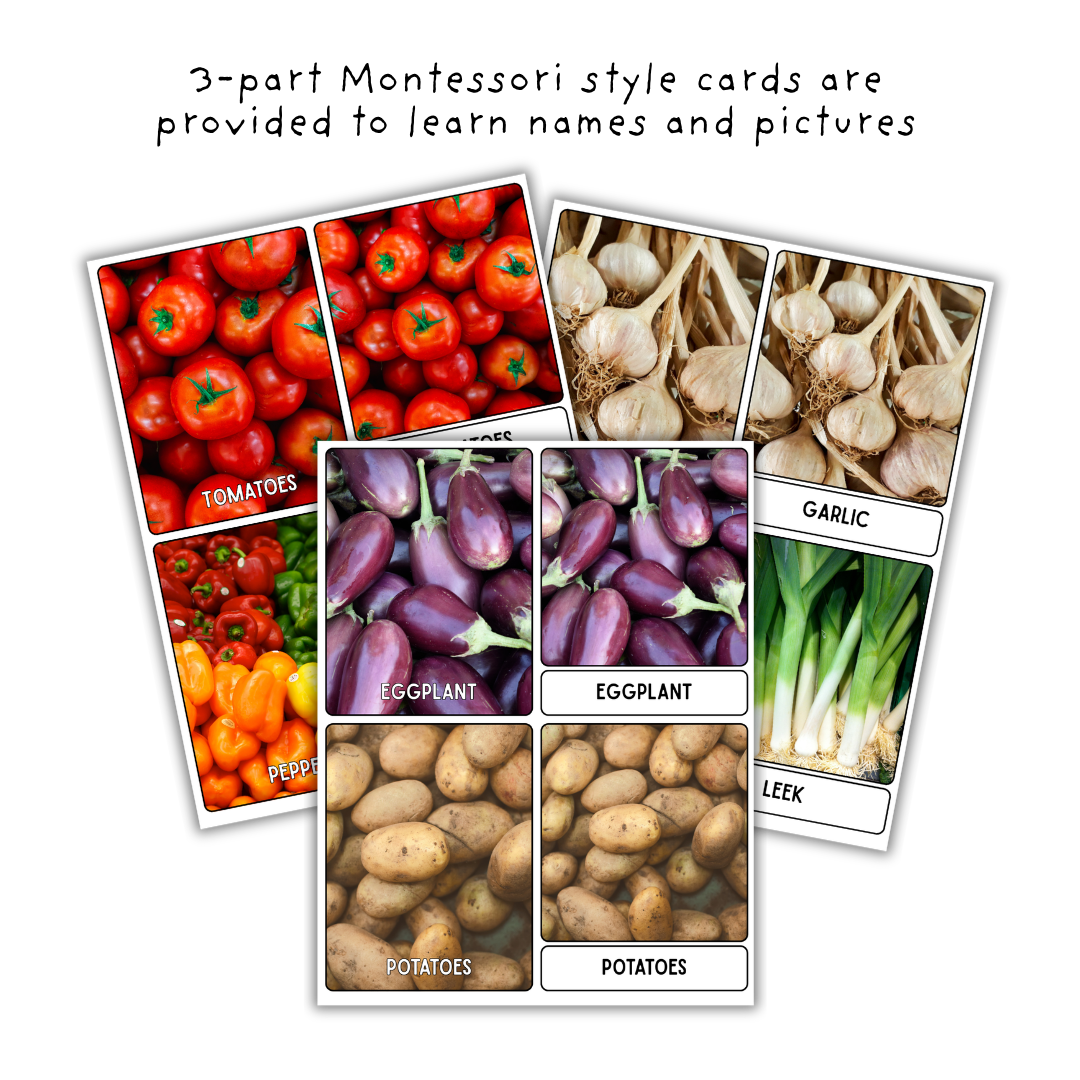 Vegetables Unit Study - Image 3