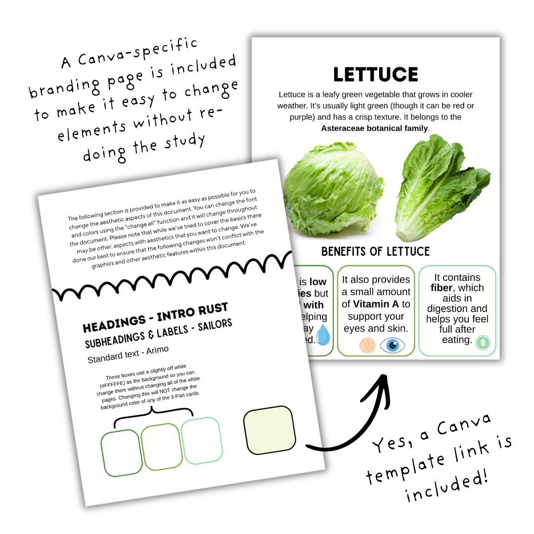 Vegetables Unit Study - Image 5