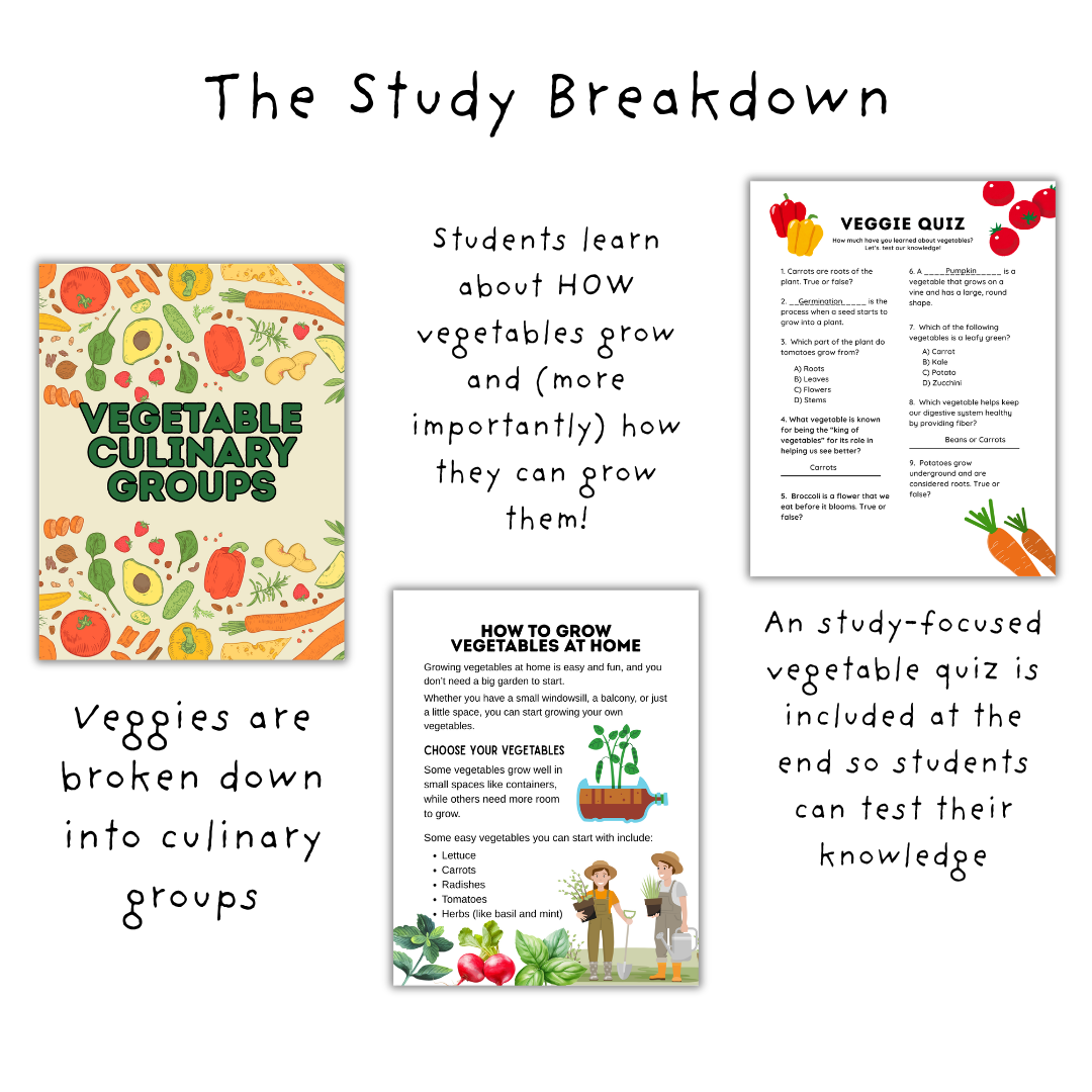 Vegetables Unit Study - Image 2