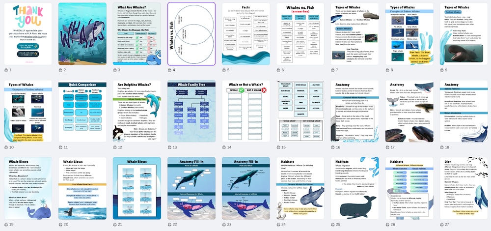 Whale overview