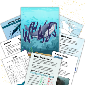 Cover image for Whale unit study