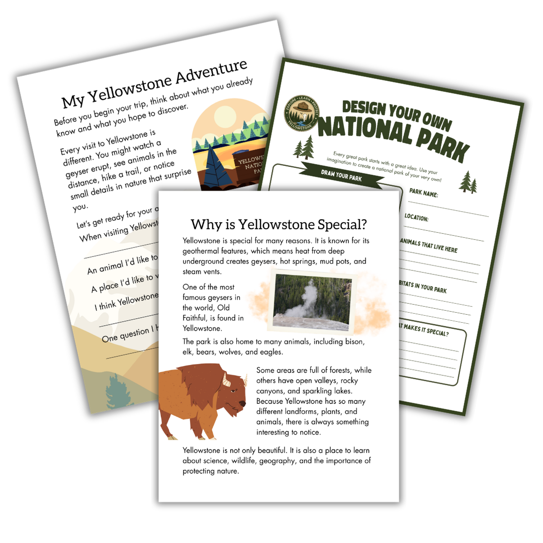 Yellowstone Field Trip Workbook - Image 3