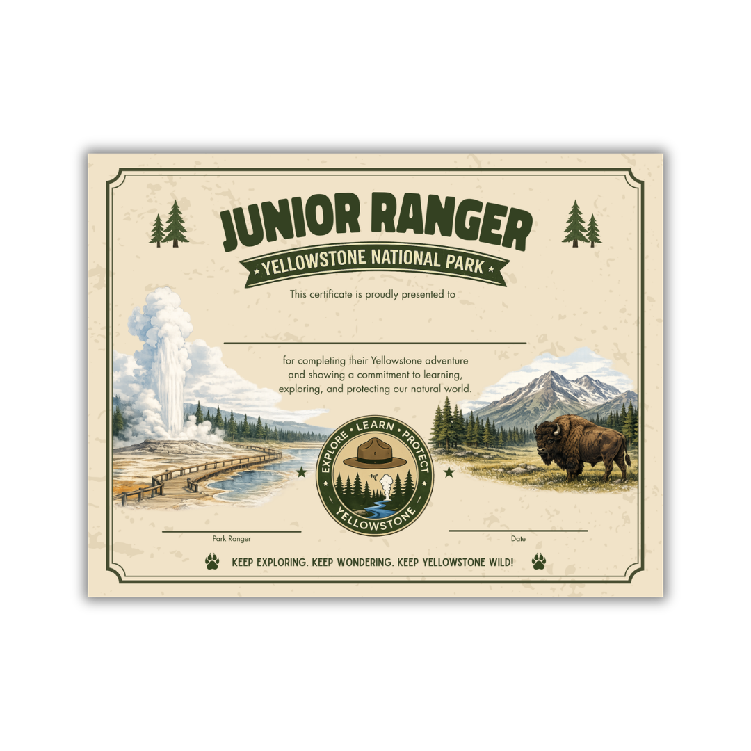 Yellowstone Field Trip Workbook - Image 5